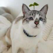 ヒメ日記 2025/09/28 19:03 投稿 紅音あこ メイドin中野（東京ハレ系）