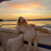 ヒメ日記 2025/11/14 16:09 投稿 紅音あこ メイドin中野（東京ハレ系）