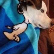 紅音あこ 明日 メイドin中野（東京ハレ系）