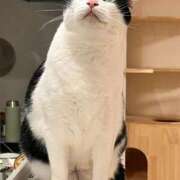 ヒメ日記 2025/12/12 19:41 投稿 紅音あこ メイドin中野（東京ハレ系）