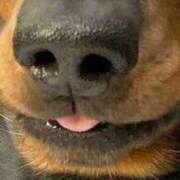 ヒメ日記 2025/12/20 20:36 投稿 紅音あこ メイドin中野（東京ハレ系）