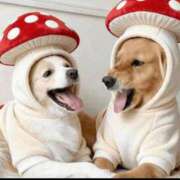 紅音あこ 月曜日15～21時 メイドin中野（東京ハレ系）