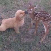 ヒメ日記 2026/01/06 15:29 投稿 紅音あこ メイドin中野（東京ハレ系）