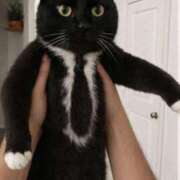 ヒメ日記 2026/01/14 18:07 投稿 紅音あこ メイドin中野（東京ハレ系）