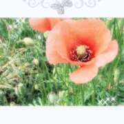 ヒメ日記 2026/04/01 16:33 投稿 笑えみり メイドin中野（東京ハレ系）