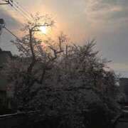 ヒメ日記 2026/04/02 12:31 投稿 月城くり メイドin中野（東京ハレ系）