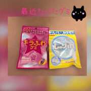 ヒメ日記 2025/04/01 11:07 投稿 音無ゆかり メイドin中野（東京ハレ系）