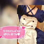 ヒメ日記 2025/04/02 11:59 投稿 音無ゆかり メイドin中野（東京ハレ系）