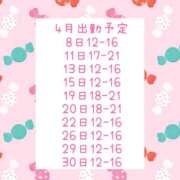 ヒメ日記 2025/04/05 15:50 投稿 音無ゆかり メイドin中野（東京ハレ系）