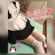 ヒメ日記 2025/05/18 13:24 投稿 音無ゆかり メイドin中野（東京ハレ系）