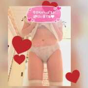 ヒメ日記 2025/06/07 11:37 投稿 音無ゆかり メイドin中野（東京ハレ系）