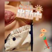 ヒメ日記 2025/06/14 11:12 投稿 音無ゆかり メイドin中野（東京ハレ系）