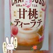 ヒメ日記 2025/11/08 08:30 投稿 音無ゆかり メイドin中野（東京ハレ系）