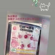 ヒメ日記 2025/11/21 13:00 投稿 音無ゆかり メイドin中野（東京ハレ系）