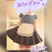 音無ゆかり 本日 メイドin中野（東京ハレ系）