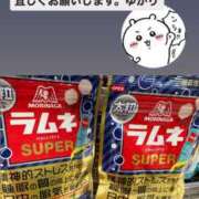 音無ゆかり 開幕 メイドin中野（東京ハレ系）