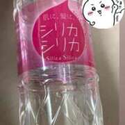 音無ゆかり 今後のメイド予定 メイドin中野（東京ハレ系）