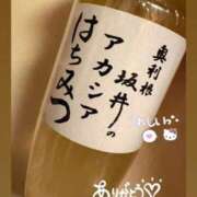 音無ゆかり 4月🌸 メイドin中野（東京ハレ系）