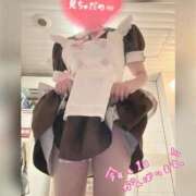 音無ゆかり 本日 メイドin中野（東京ハレ系）