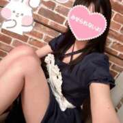 ヒメ日記 2025/03/19 07:30 投稿 園原あんり メイドin中野（東京ハレ系）