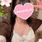 ヒメ日記 2025/04/02 07:30 投稿 園原あんり メイドin中野（東京ハレ系）