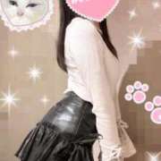 ヒメ日記 2025/04/11 12:01 投稿 園原あんり メイドin中野（東京ハレ系）