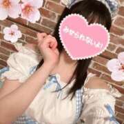 ヒメ日記 2025/04/12 10:01 投稿 園原あんり メイドin中野（東京ハレ系）