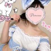 ヒメ日記 2025/04/28 12:02 投稿 園原あんり メイドin中野（東京ハレ系）