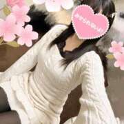 ヒメ日記 2025/11/15 10:00 投稿 園原あんり メイドin中野（東京ハレ系）