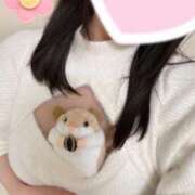 ヒメ日記 2025/11/20 12:01 投稿 園原あんり メイドin中野（東京ハレ系）