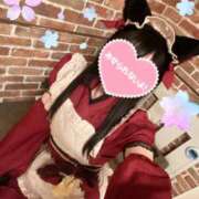 ヒメ日記 2026/02/19 07:30 投稿 園原あんり メイドin中野（東京ハレ系）