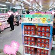 ヒメ日記 2026/02/24 07:30 投稿 園原あんり メイドin中野（東京ハレ系）