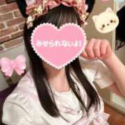 ヒメ日記 2026/05/11 07:30 投稿 園原あんり メイドin中野（東京ハレ系）