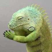 ヒメ日記 2025/12/31 16:15 投稿 玉木はな メイドin中野（東京ハレ系）