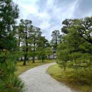 芹沢かのん お知らせ メイドin中野（東京ハレ系）