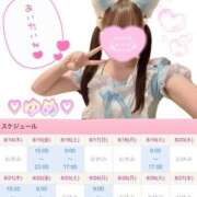 ヒメ日記 2025/08/14 16:27 投稿 永瀬ゆめ メイドin中野（東京ハレ系）