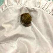 ヒメ日記 2026/03/03 10:46 投稿 愛沢かすみ メイドin中野（東京ハレ系）