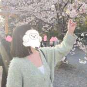 ヒメ日記 2025/04/08 09:53 投稿 観月みき メイドin中野（東京ハレ系）