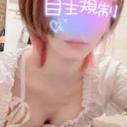 ヒメ日記 2025/04/01 16:38 投稿 白銀りりあ メイドin中野（東京ハレ系）