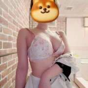 ヒメ日記 2025/11/27 16:42 投稿 白銀りりあ メイドin中野（東京ハレ系）