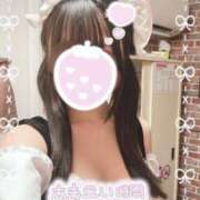 ヒメ日記 2025/03/14 13:42 投稿 山本ひまり メイドin中野（東京ハレ系）