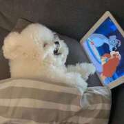 ヒメ日記 2025/07/19 13:24 投稿 渋谷はのん メイドin中野（東京ハレ系）