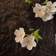 ヒメ日記 2025/04/05 21:03 投稿 長門めぐ メイドin中野（東京ハレ系）