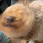 なるせ お休みします 静岡♂風俗の神様 静岡店