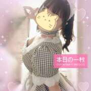 ヒメ日記 2025/04/07 23:09 投稿 水沢あいり メイドin中野（東京ハレ系）