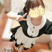 ヒメ日記 2026/01/08 15:21 投稿 水沢あいり メイドin中野（東京ハレ系）
