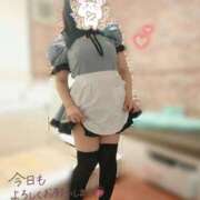 ヒメ日記 2026/01/13 15:13 投稿 水沢あいり メイドin中野（東京ハレ系）