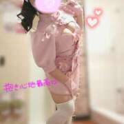 ヒメ日記 2026/01/17 23:59 投稿 水沢あいり メイドin中野（東京ハレ系）