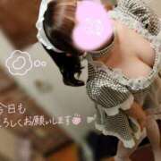 ヒメ日記 2026/03/05 15:17 投稿 水沢あいり メイドin中野（東京ハレ系）