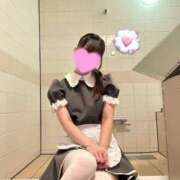 ヒメ日記 2025/09/05 14:10 投稿 川口あやみ メイドin中野（東京ハレ系）